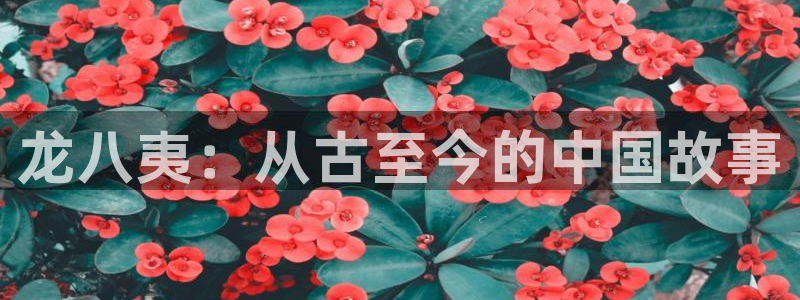 万向娱乐官网：龙八夷：从古至今的中国故事
