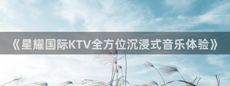 万向娱乐官网：《星耀国际KTV全方位沉浸式音乐体验》