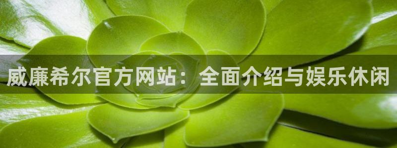万向娱乐下载：威廉希尔官方网站：全面介绍与娱乐休闲