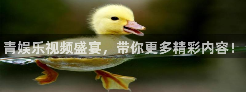 万向娱乐com：青娱乐视频盛宴，带你更多精彩内容！
