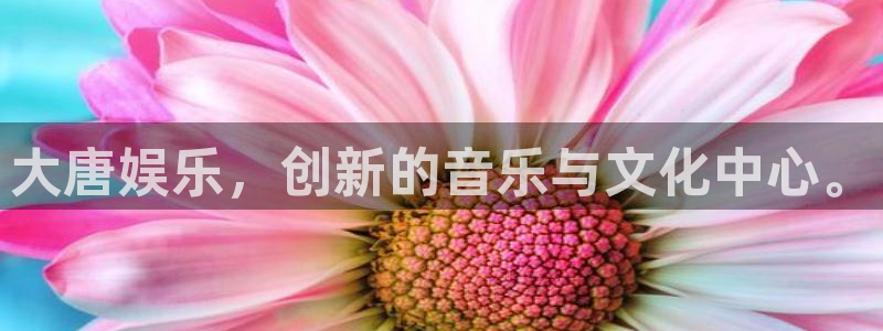 万向娱乐平台app下载安装：大唐娱乐，创新的音乐与文化中心。