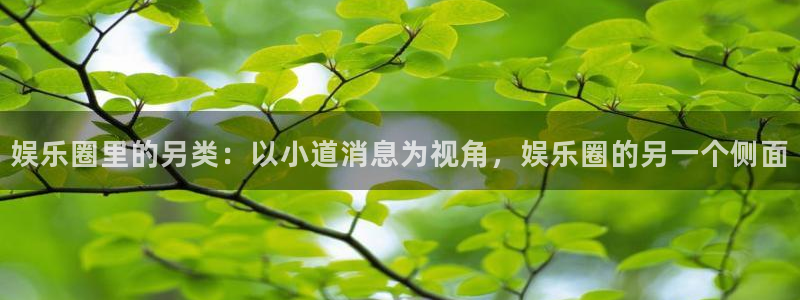 万向娱乐下载：娱乐圈里的另类：以小道消息为视角，娱乐圈的另一个侧面
