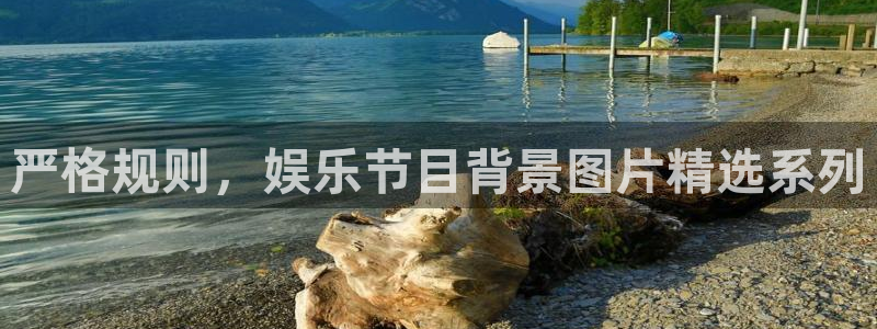 壹号大舞台怎么下载：严格规则，娱乐节目背景图片精选系列