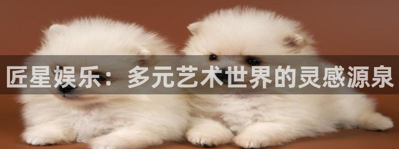 万向娱乐下载入口