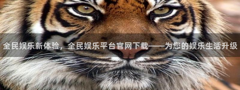壹号大舞台网站：全民娱乐新体验，全民娱乐平台官网下载——为您的娱乐生活升级