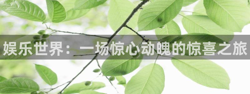 万向娱乐吧：娱乐世界：一场惊心动魄的惊喜之旅