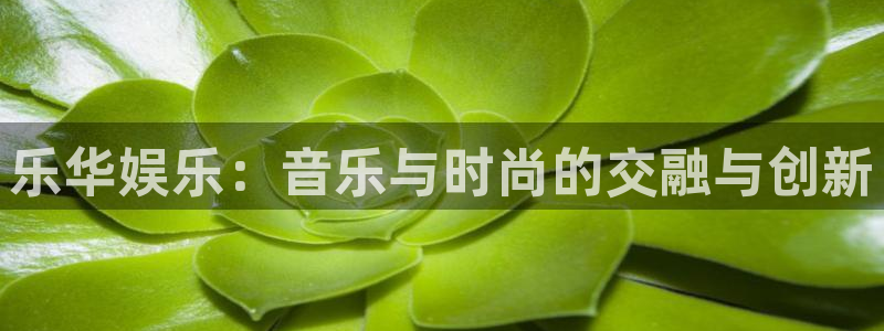 万向娱乐 - ng大舞台,有梦你就来：乐华娱乐：音乐与时尚的交融与创新