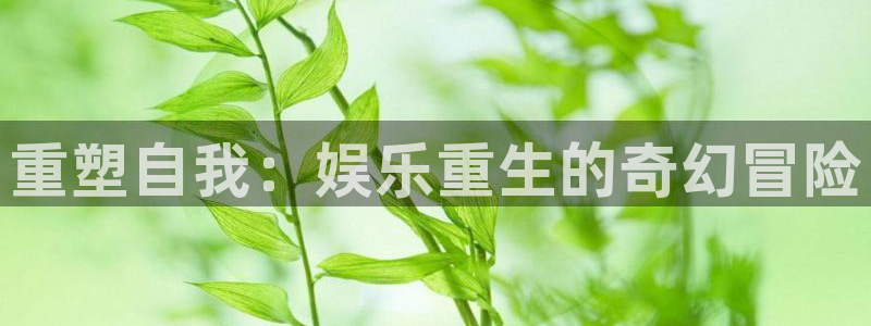 壹号大舞台官网入口