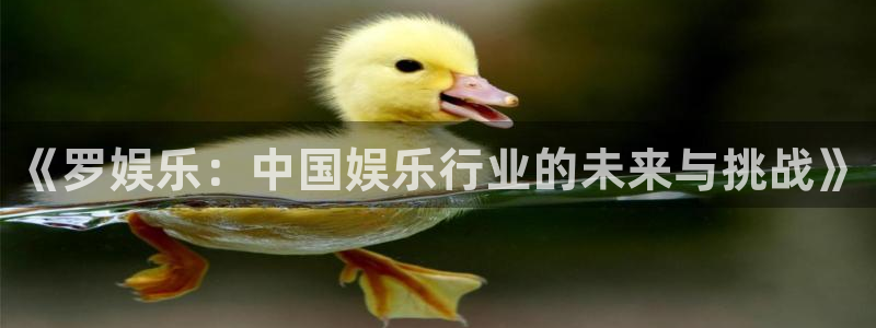 万向娱乐app下载安装