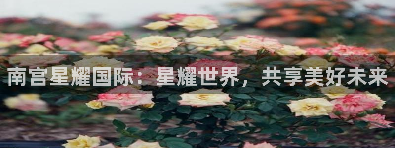 壹号大舞台下载：南宫星耀国际：星耀世界，共享美好未来