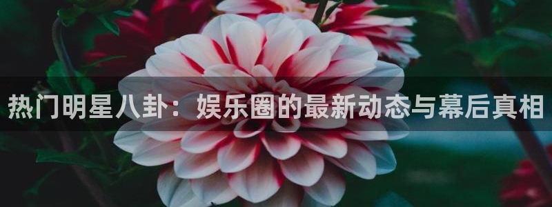 万向娱乐怎么下载：热门明星八卦：娱乐圈的最新动态与幕后真相