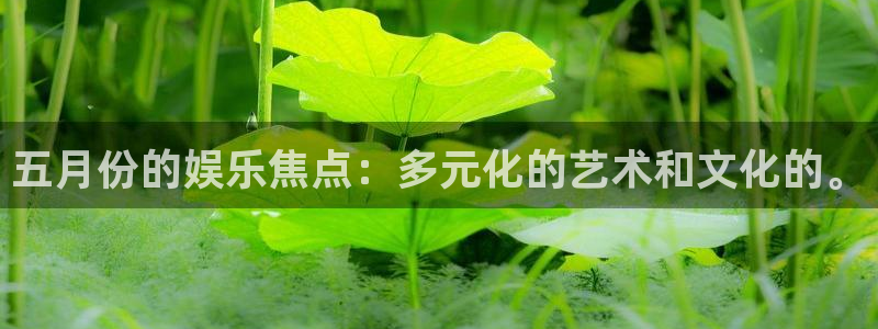 万向娱乐app入口：五月份的娱乐焦点：多元化的艺术和文化的。