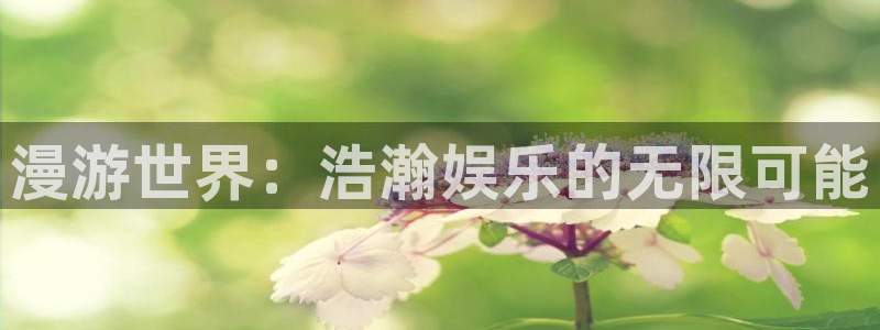 万向娱乐app官网下载