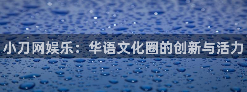 万向娱乐官方app下载安装：小刀网娱乐：华语文化圈的创新与活力