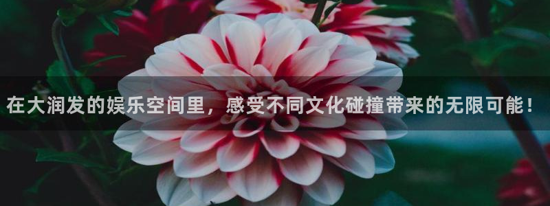 壹号大舞台娱乐传媒：在大润发的娱乐空间里，感受不同文化碰撞带来的无限可能！