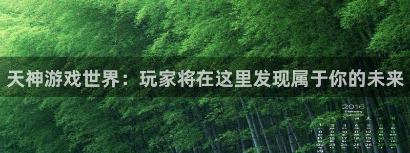 壹号大舞台28国际大舞台：天神游戏世界：玩家将在这里发现属于你的未来