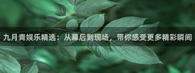 壹号官网app下载安装：九月青娱乐精选：从幕后到现场，带你感受更多精彩瞬间