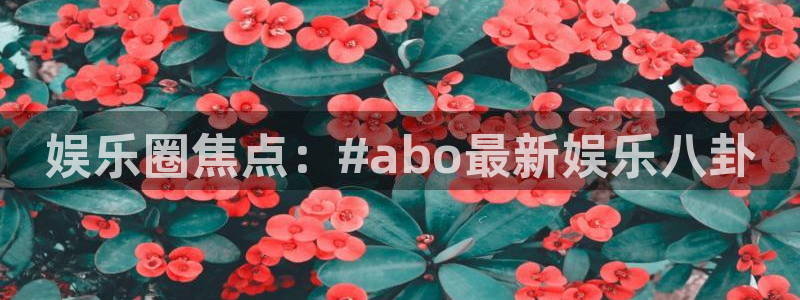 壹号app官方登录入口下载：娱乐圈焦点：#abo最新娱乐八卦
