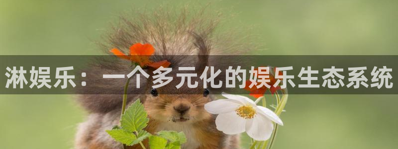 万向娱乐强制退款流程详解：淋娱乐：一个多元化的娱乐生态系统
