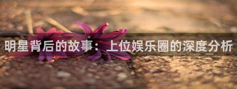 壹号玩家app下载：明星背后的故事：上位娱乐圈的深度分析