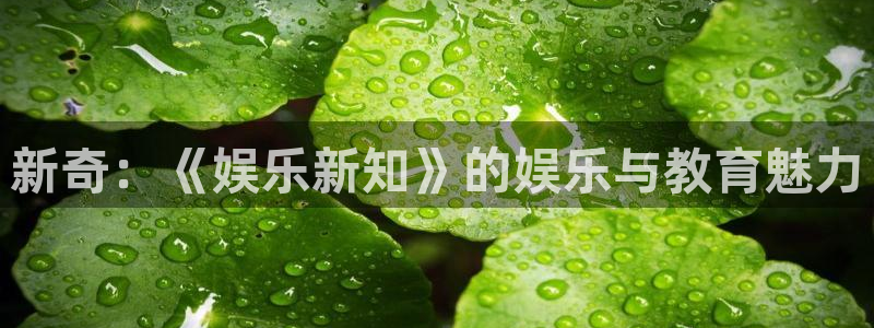 万向娱乐 - ng大舞台,有梦你就来：新奇：《娱乐新知》的娱乐与教育魅力