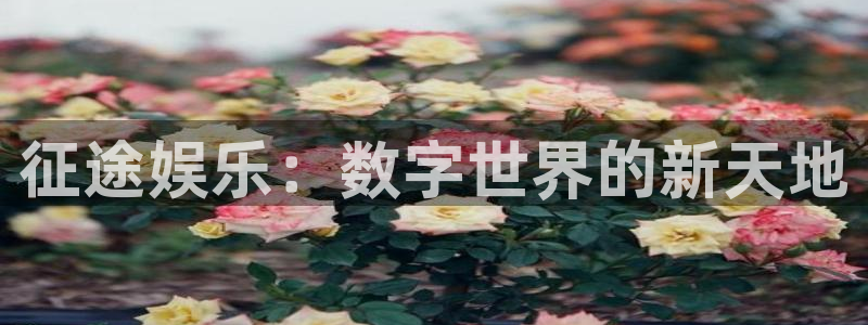 万向娱乐平台app下载安装：征途娱乐：数字世界的新天地
