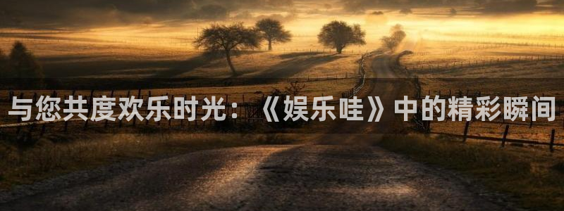 万向娱乐网址：与您共度欢乐时光：《娱乐哇》中的精彩瞬间