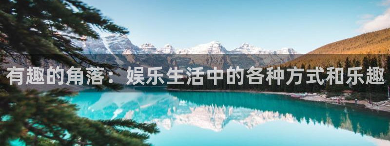 壹号app官网版下载：有趣的角落：娱乐生活中的各种方式和乐趣