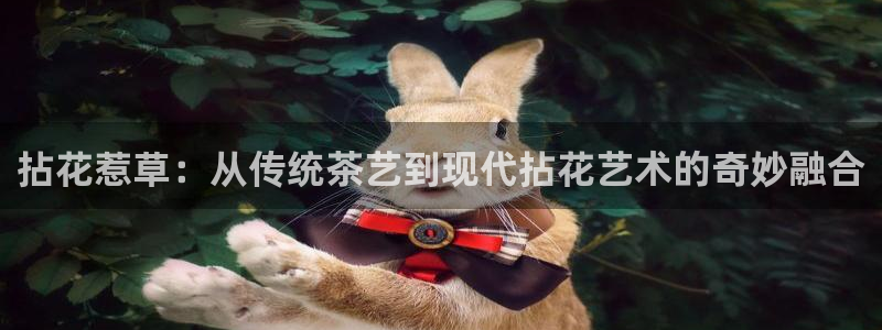 壹号大舞台怎么下载：拈花惹草：从传统茶艺到现代拈花艺术的奇妙融合
