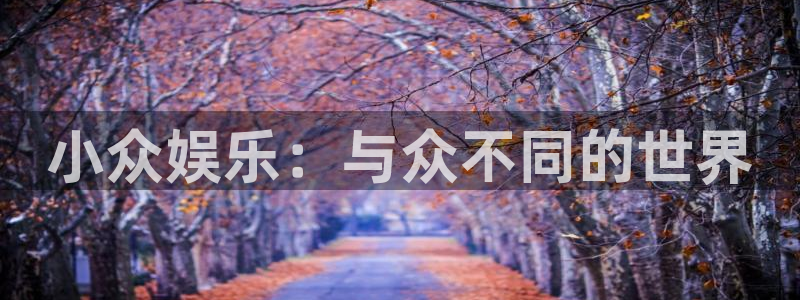 万向娱乐com：小众娱乐：与众不同的世界
