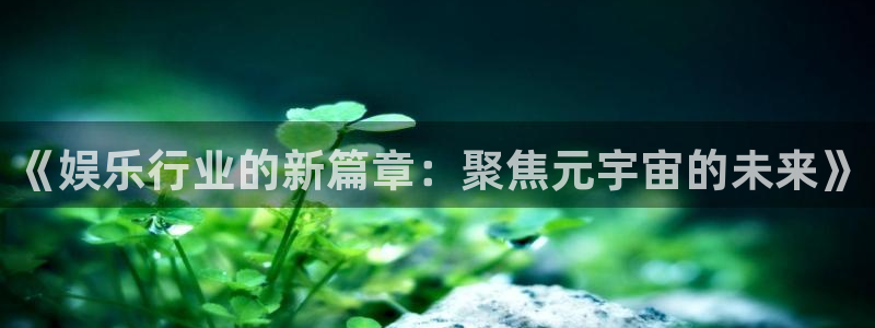 万向娱乐能退款吗：《娱乐行业的新篇章：聚焦元宇宙的未来》